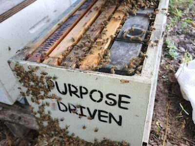 Purpose Driven Apiary, LLC