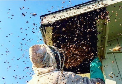 IRescueBees Beekeeping and Bee Removals