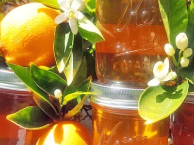 Avalon Apiaries & Christmas Tree Farm