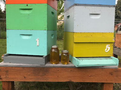 Hamilton Hives