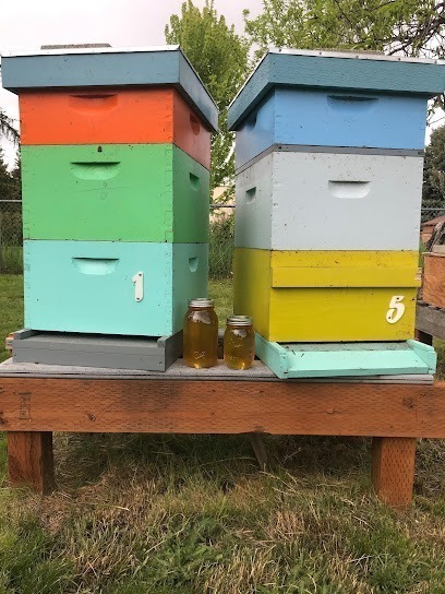 Hamilton Hives