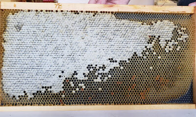 CDEDBDB Apiaries