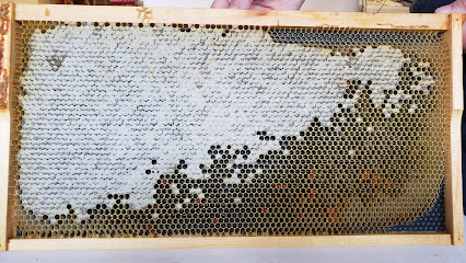 CDEDBDB Apiaries