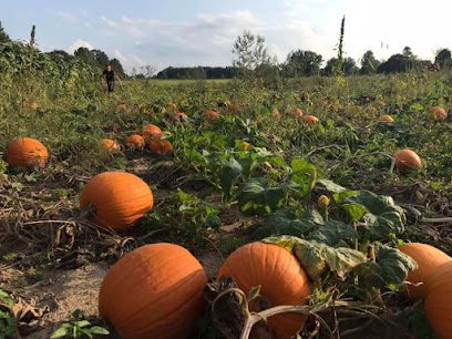 Simmons Farms