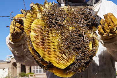 Honey Bee Rescue Farm