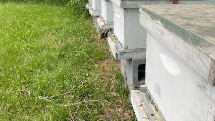 Nebraska Gold Honey