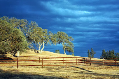 Vicarious Ranch