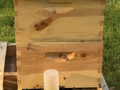 Sweet Farm Honey