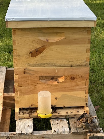 Sweet Farm Honey