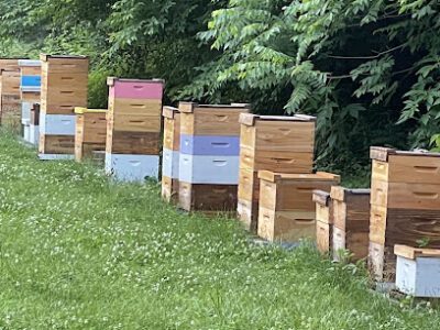 Poplar Ridge Honey Bees