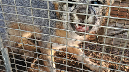 Abolish Pest & Wildlife Control of Southeast Houston