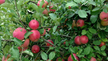 B.J. Reece Orchards