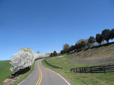 Cedar Lake Farm LLC
