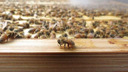 Bailey's Bees