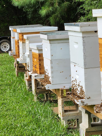 Honey Top Bees