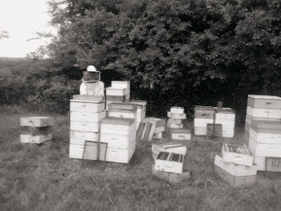 Sweet Wisconsin Honey Farm