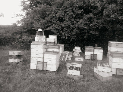Sweet Wisconsin Honey Farm