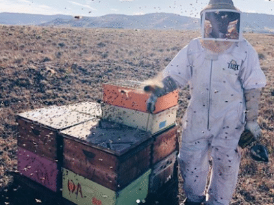 Tabernash Honey Company