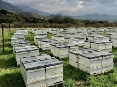 Harris Family Apiaries Bee Location