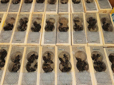 The Bee Barn | Honey Farm & Beekeeping Store