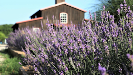 Lavender Brothers