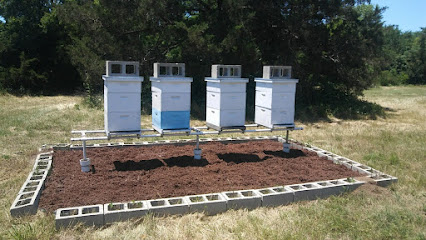 Longship Bee Services