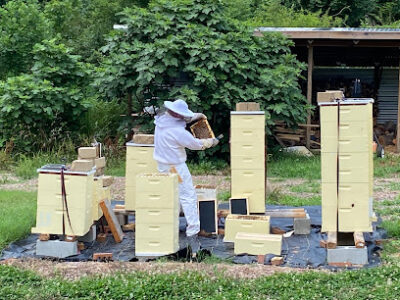 Berry Lane Bees LLC