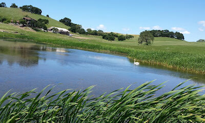Reis River Ranch Winery