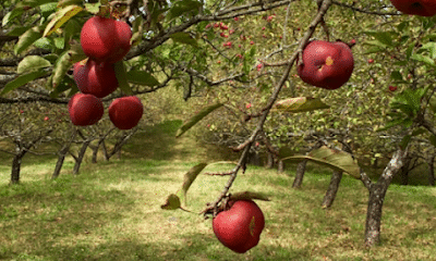 Eden Acres Family Farm
