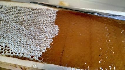 D's Bees