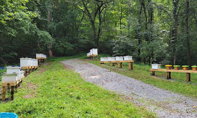 Foxadise Farms