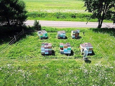 Nohr Honey Ranch